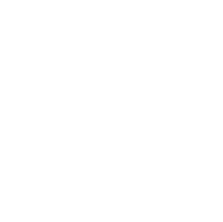 Lofoten Nomads logo