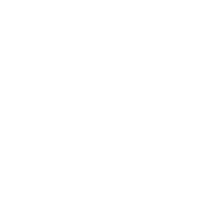 Lofoten Nomads logo